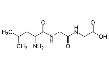 PA PEP 003769