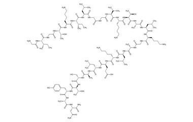 PA PEP 003815