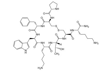 PA PEP 003816