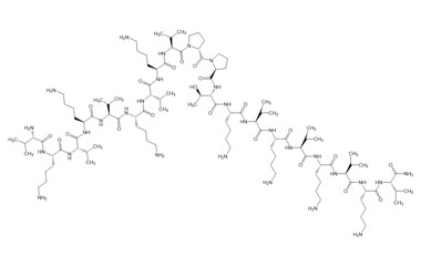 L-Valyl-L-lysyl-L-valyl-L-lysyl-L-valyl-L-lysyl-L- PA PEP 003818