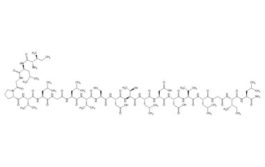 PA PEP 003821