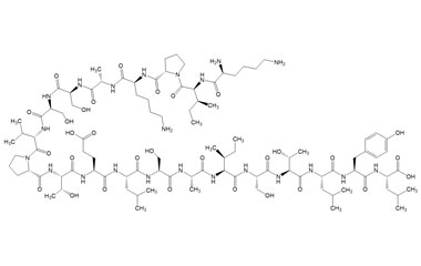 PA PEP 003829