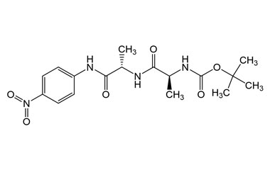 PA PEP 003835