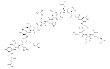 PA PEP 003836