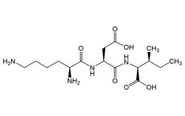 PA PEP 003862