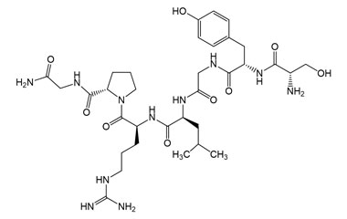 (S)-1-(L-Seryl-L-tyrosylglycyl-L-leucyl-L-arginyl) PA PEP 003863