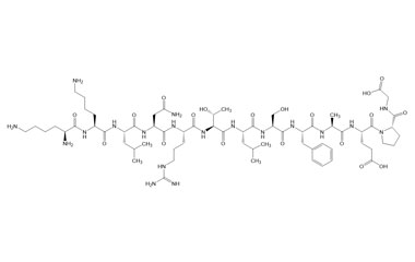 PA PEP 003864