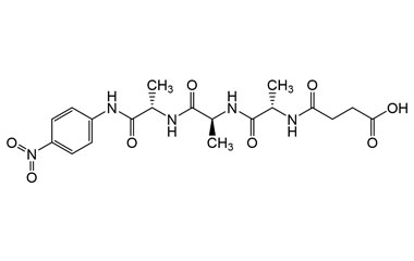 PA PEP 003871