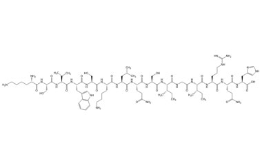 PA PEP 003872