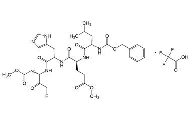 PA PEP 003875