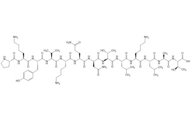 PA PEP 003879