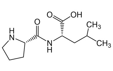 PA PEP 003880
