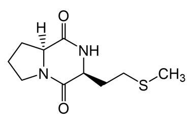 PA PEP 003883