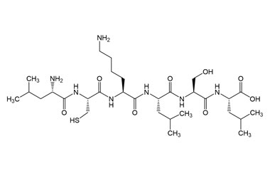 PA PEP 003886