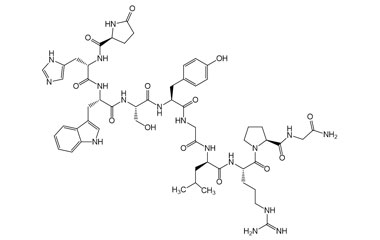 PA PEP 003892