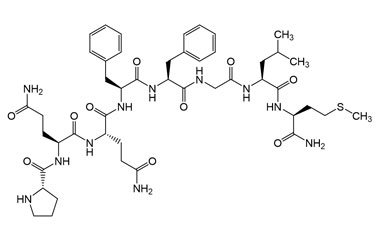 PA PEP 003895