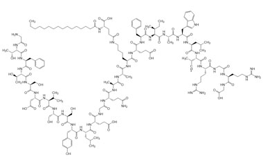 PA PEP 003896