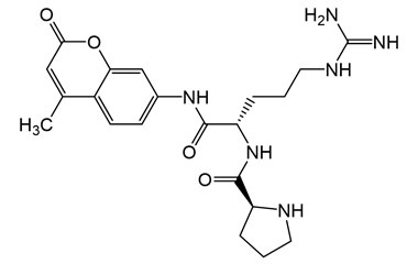 PA PEP 003900