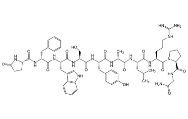 PA PEP 003902