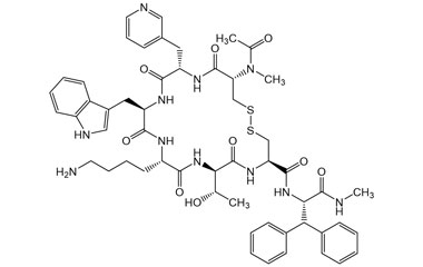 PA PEP 003905