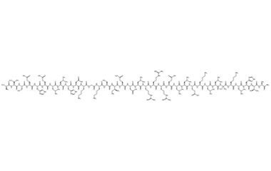 PA PEP 003906