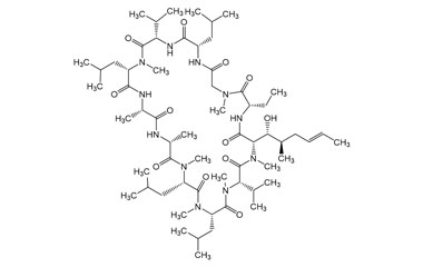 PA PEP 003911