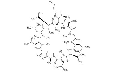 PA PEP 003912
