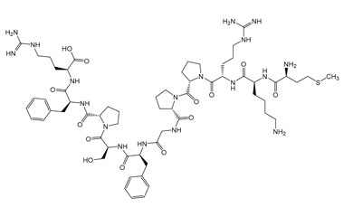 PA PEP 003913