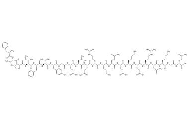 PA PEP 003919