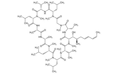 PA PEP 003921