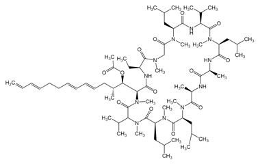 PA PEP 003922