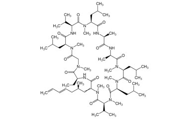 PA PEP 003923