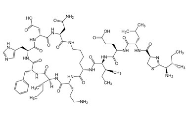 PA PEP 003924
