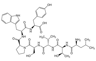 PA PEP 003934