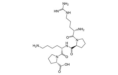 PA PEP 003951