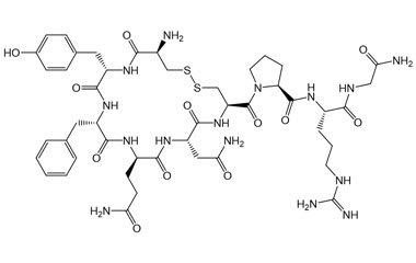 PA PEP 003953