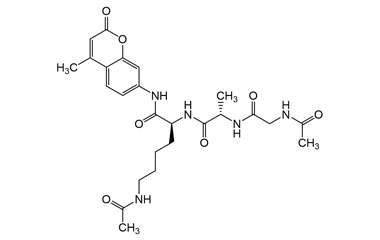 PA PEP 003955