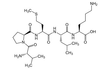 PA PEP 003958