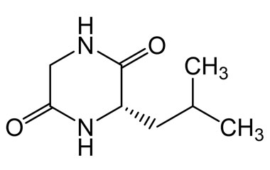 PA PEP 003963