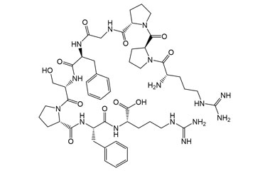 PA PEP 003970