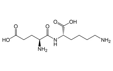 PA PEP 003974
