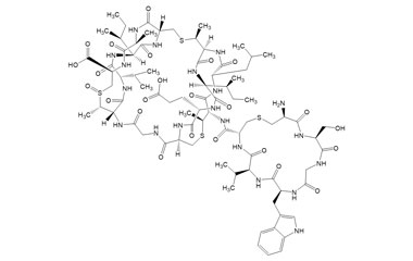 PA PEP 003977
