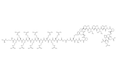 PA PEP 003979