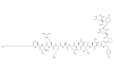 PA PEP 003981
