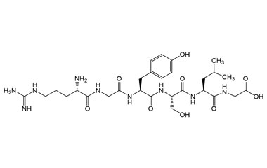 PA PEP 003986