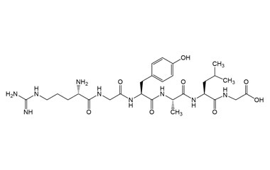 PA PEP 003987