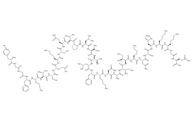 PA PEP 003988