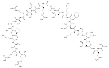 PA PEP 004000