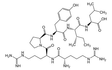 PA PEP 004001
