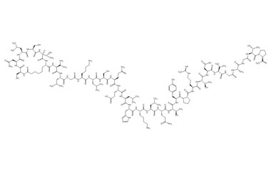 PA PEP 004003